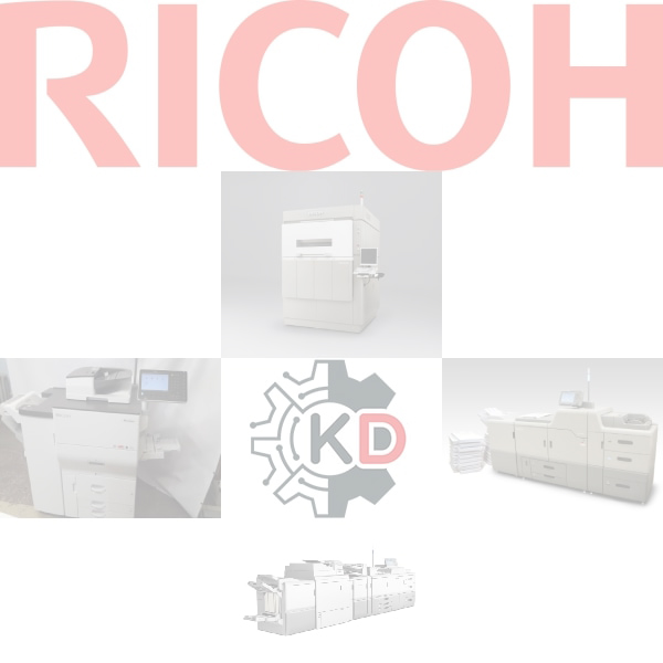 Ricoh D2020125