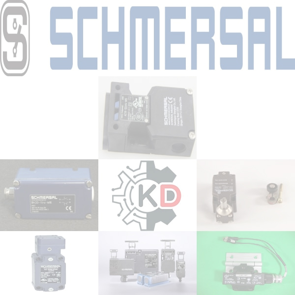 Schmersal SRB3011CI-24V