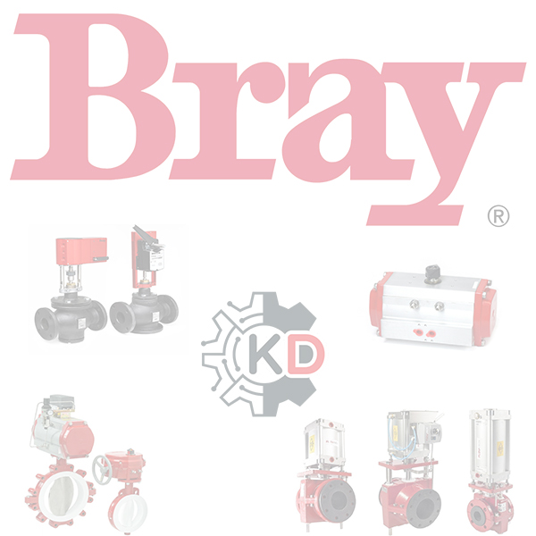 Bray Controls 93-0925-11306-532