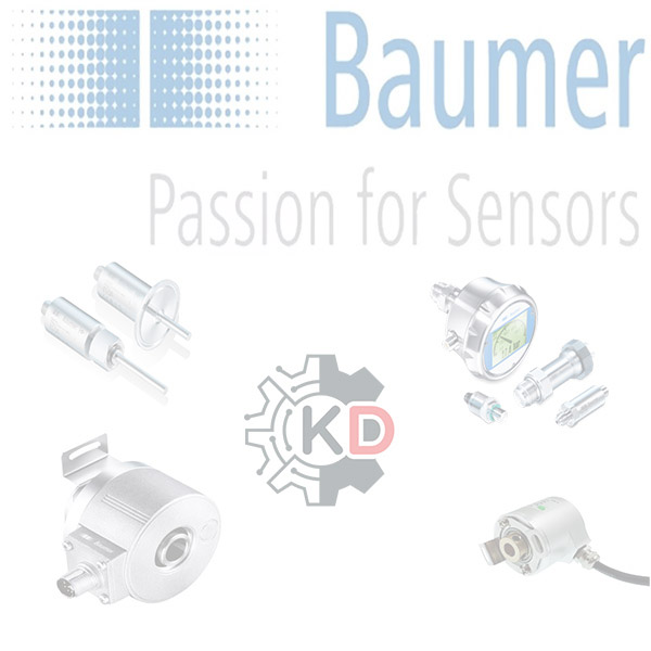 Baumer 12U9502