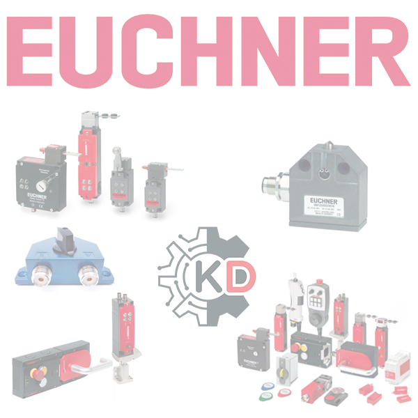 Euchner HWA100T100A05